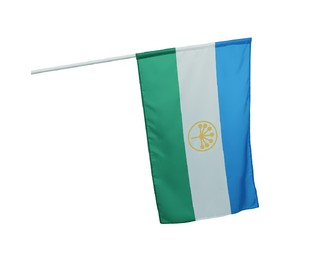 Флаг с пластиковым древком